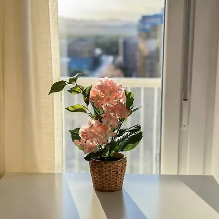 Apartment Tranquilidad A 2 Minutos Del Mar Canet d'En Berenguer